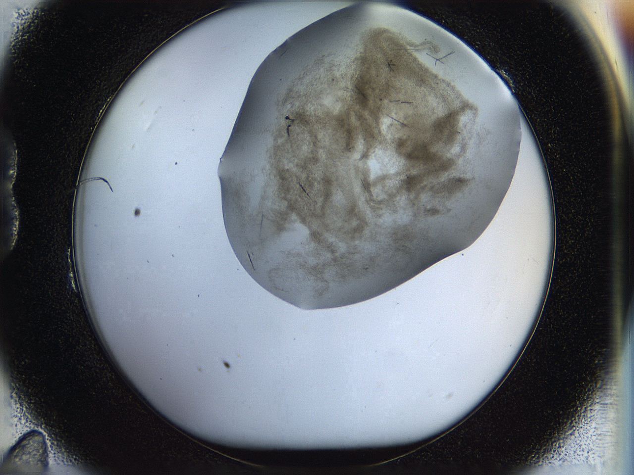 059w_B11_ImagerDefaults_7.jpg