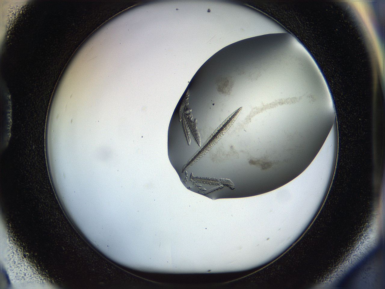 059w_D9_ImagerDefaults_8.jpg