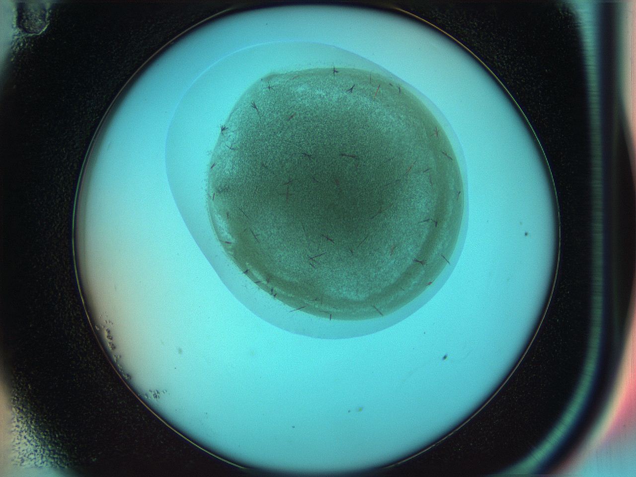 05a7_B11_ImagerDefaults_7.jpg