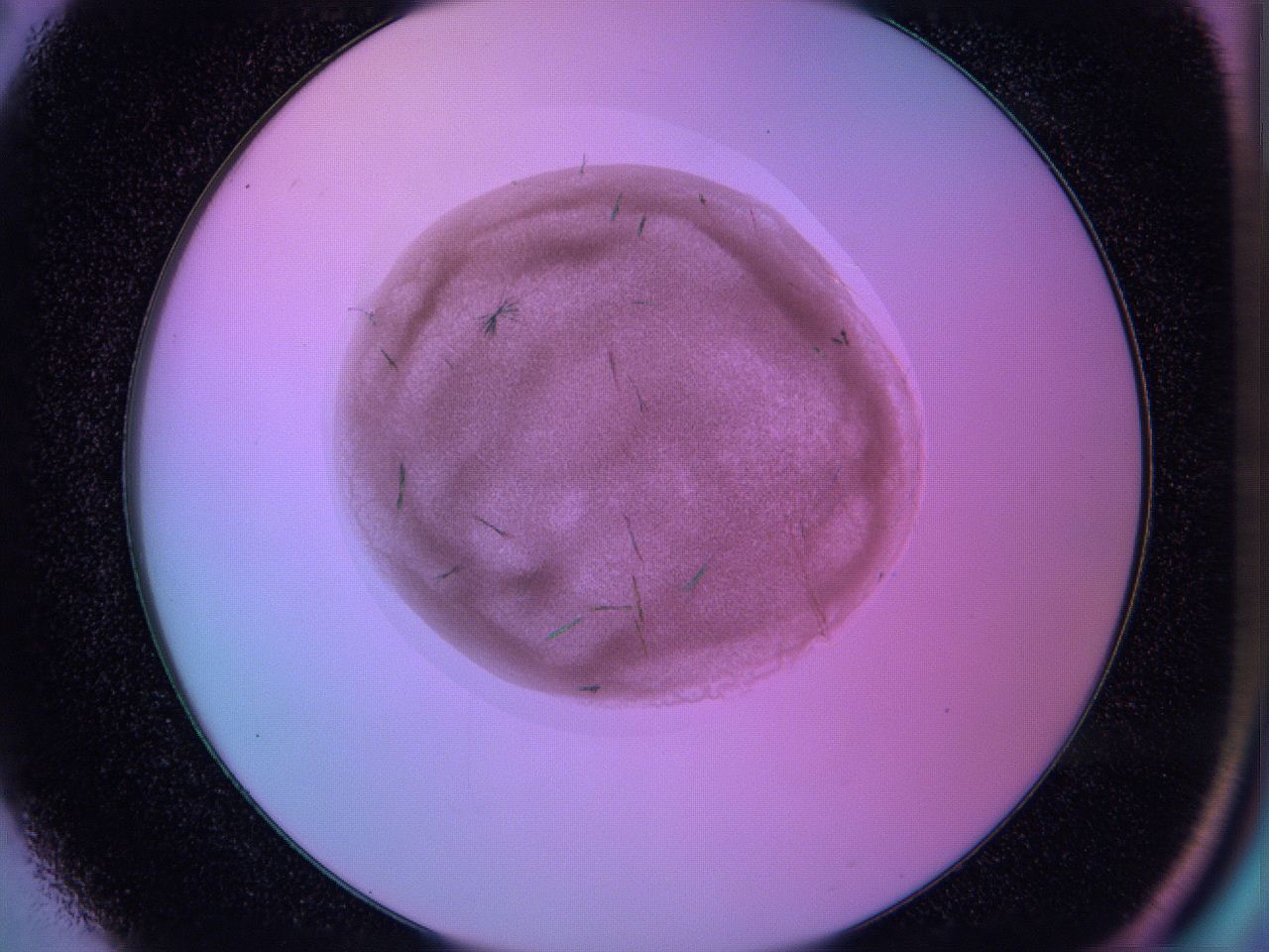 05ab_E2_ImagerDefaults_7.jpg