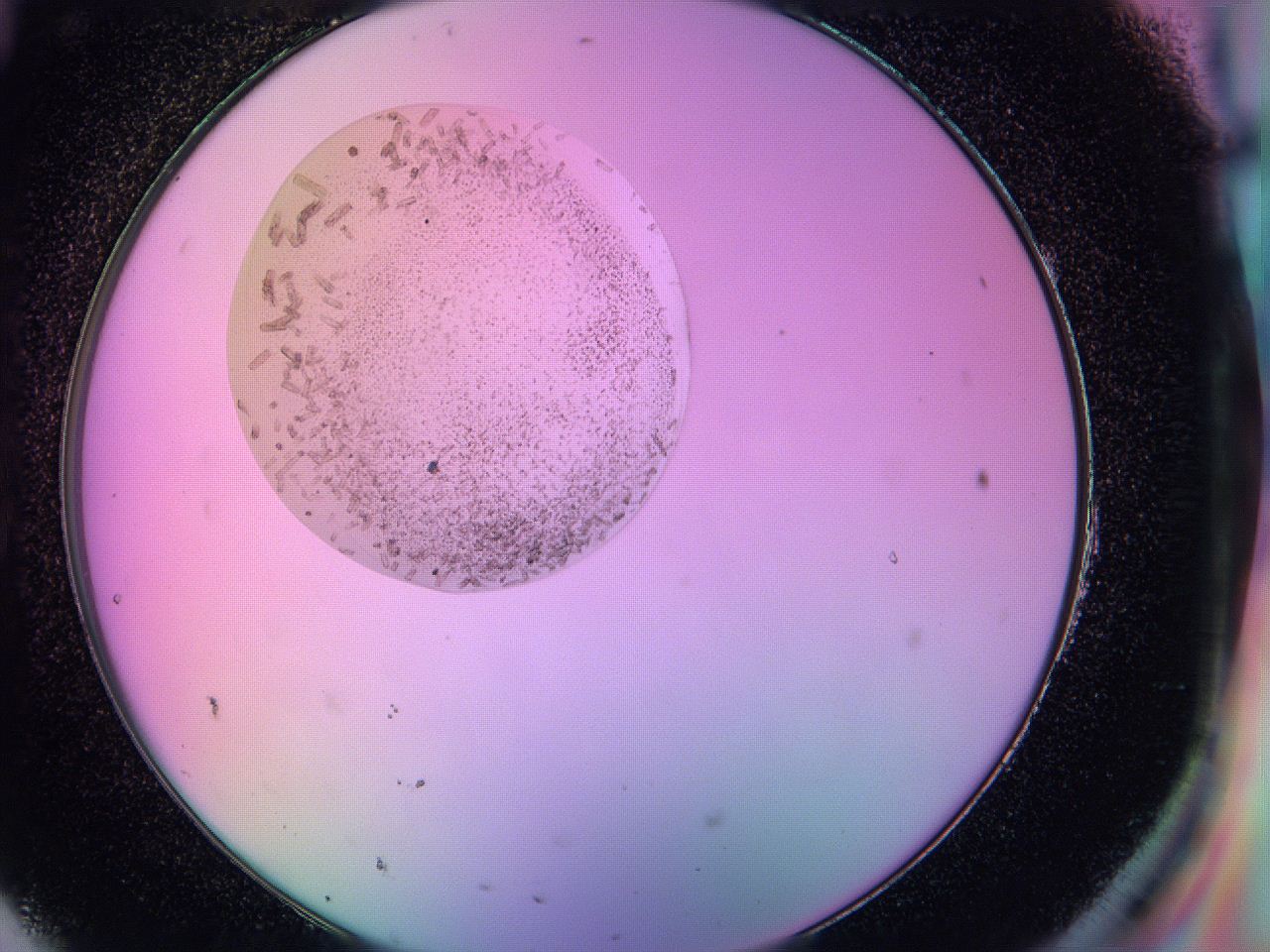 05ac_H11_ImagerDefaults_9.jpg