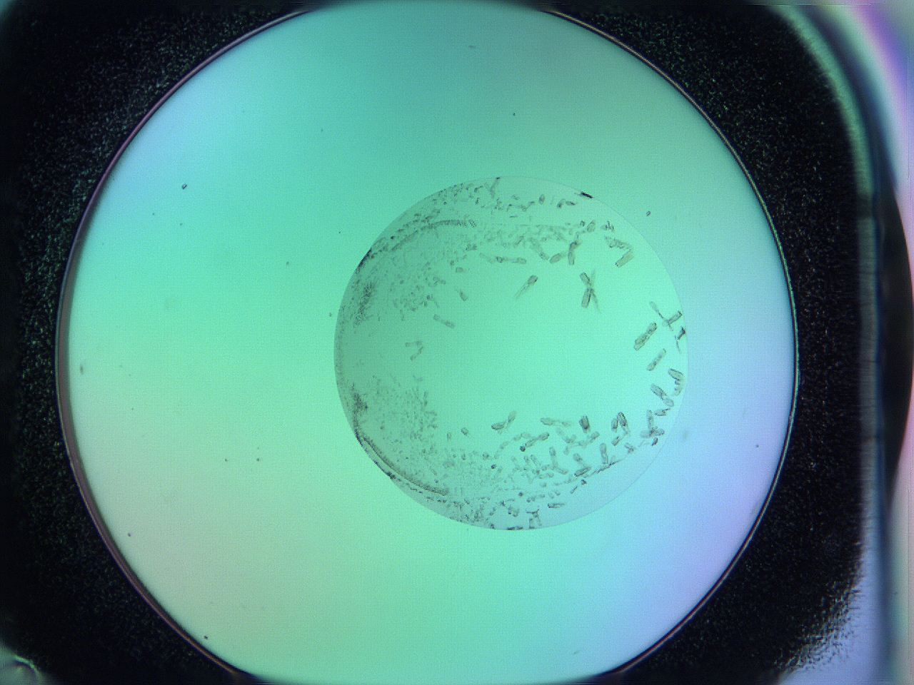 05ad_D12_ImagerDefaults_9.jpg