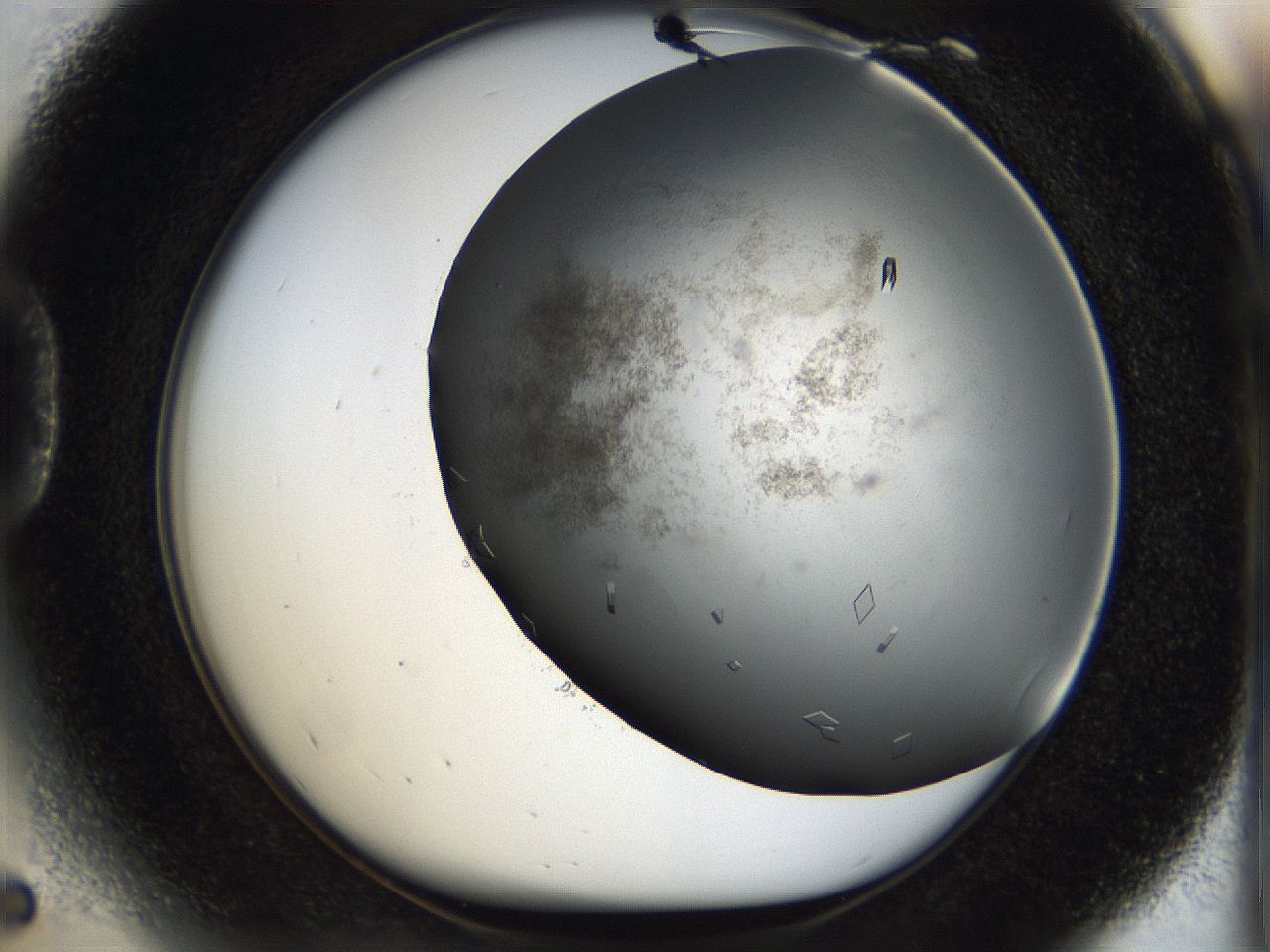 05ah_D5_ImagerDefaults_9.jpg