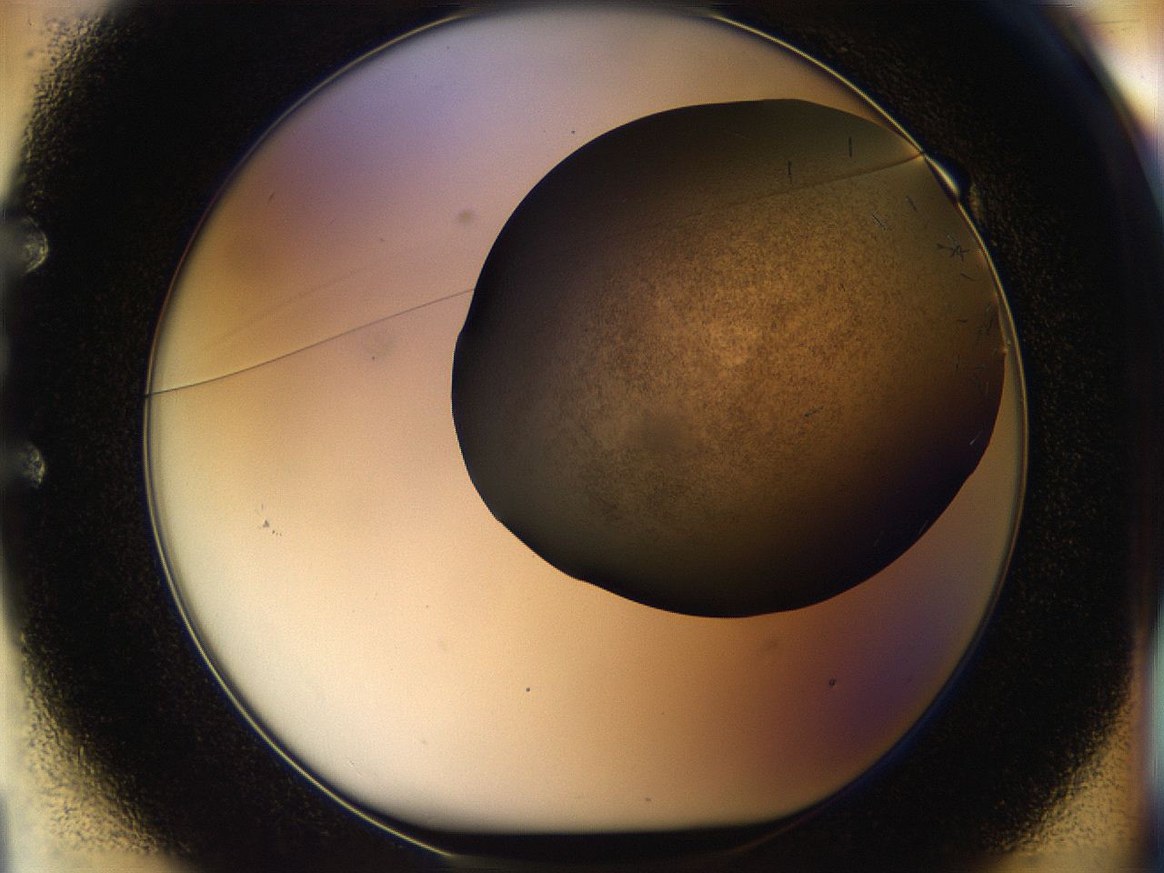 05aj_E1_ImagerDefaults_7.jpg