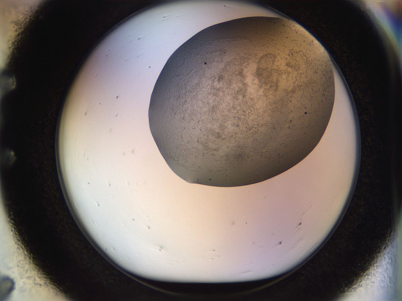 05aj_E7_ImagerDefaults_6.jpg