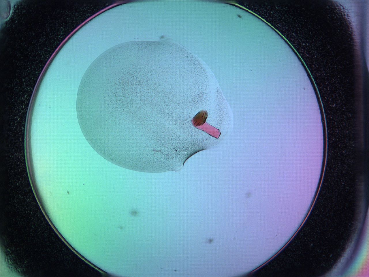 05al_D11_ImagerDefaults_9.jpg