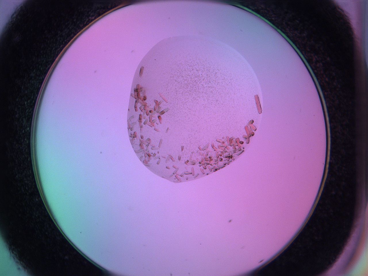 05al_C8_ImagerDefaults_9.jpg
