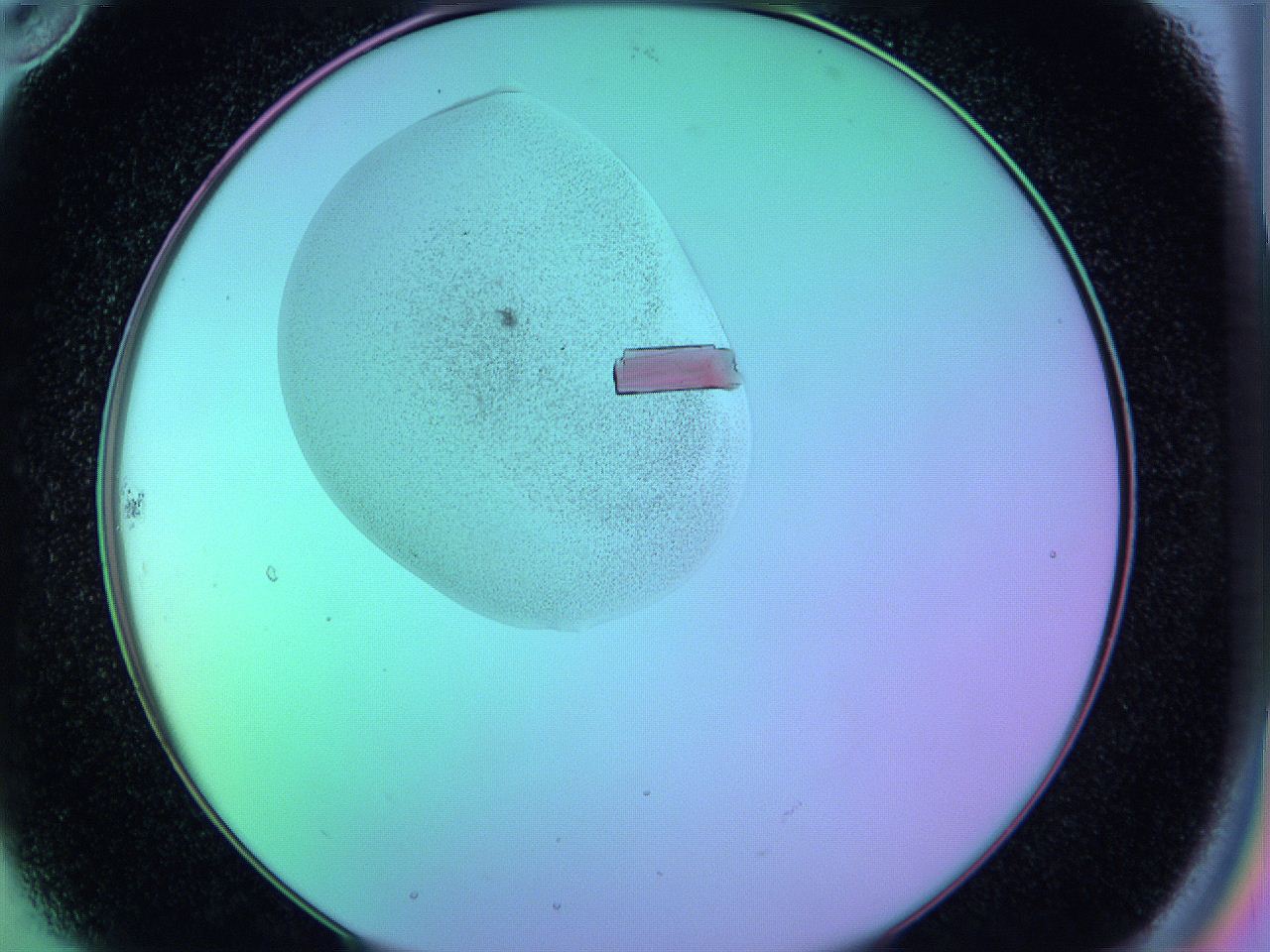 05al_B10_ImagerDefaults_9.jpg
