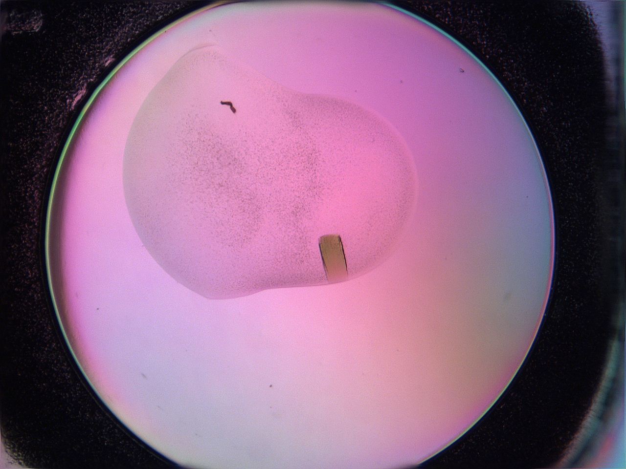 05al_H12_ImagerDefaults_9.jpg
