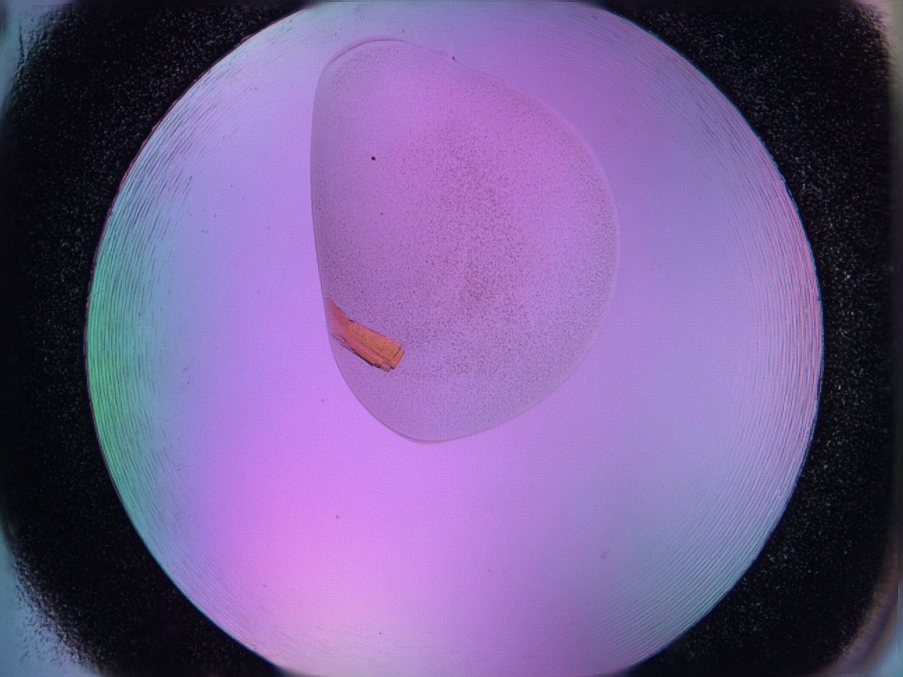 05al_H2_ImagerDefaults_9.jpg