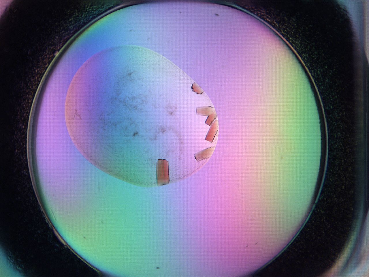 05al_F9_ImagerDefaults_9.jpg