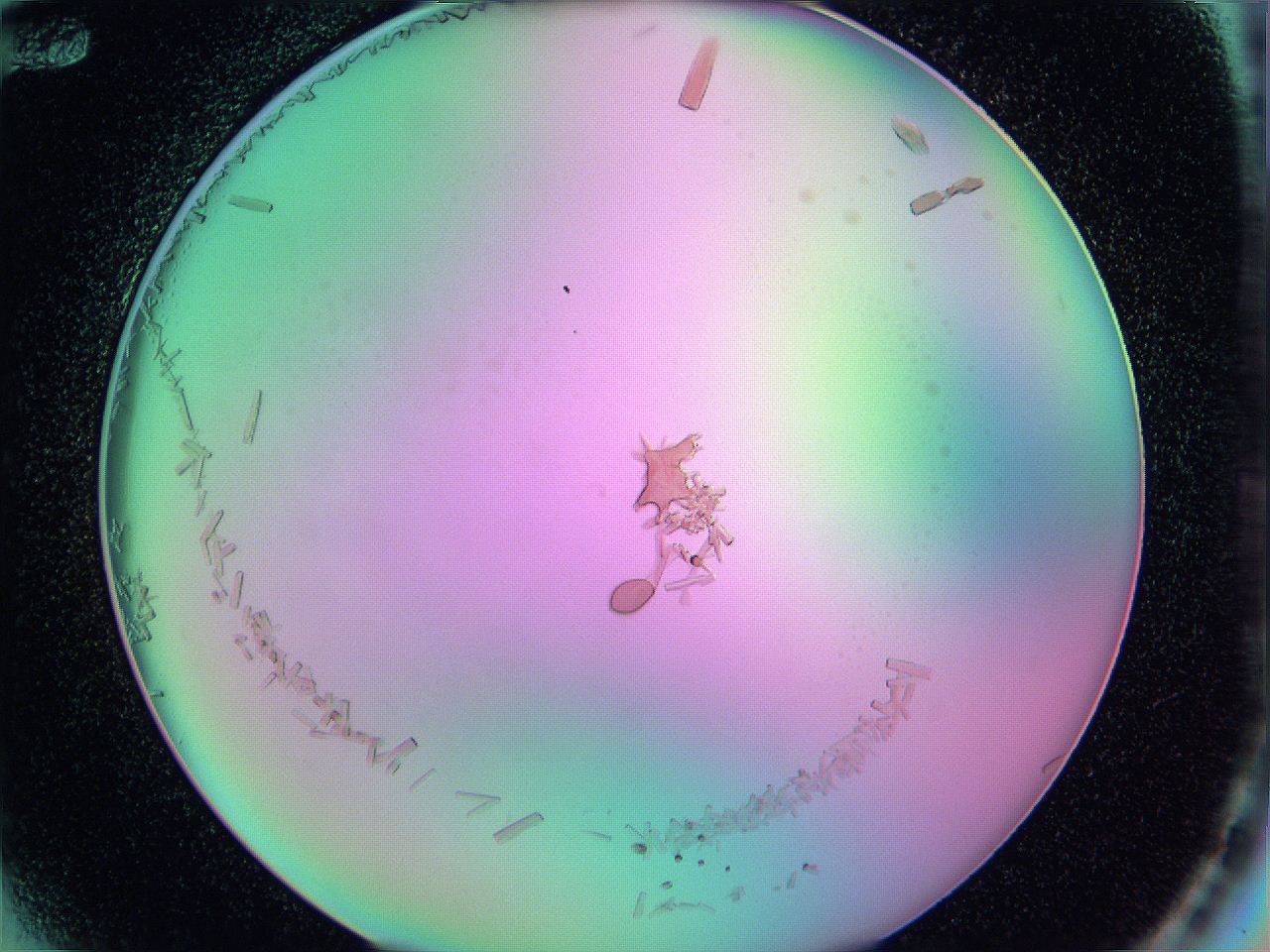 05al_F12_ImagerDefaults_9.jpg