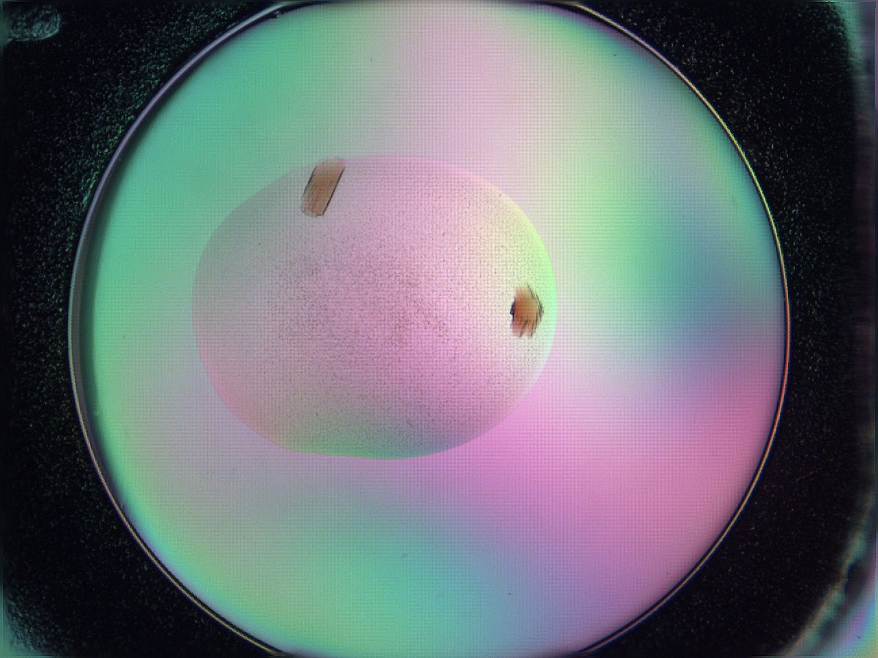 05am_F12_ImagerDefaults_9.jpg