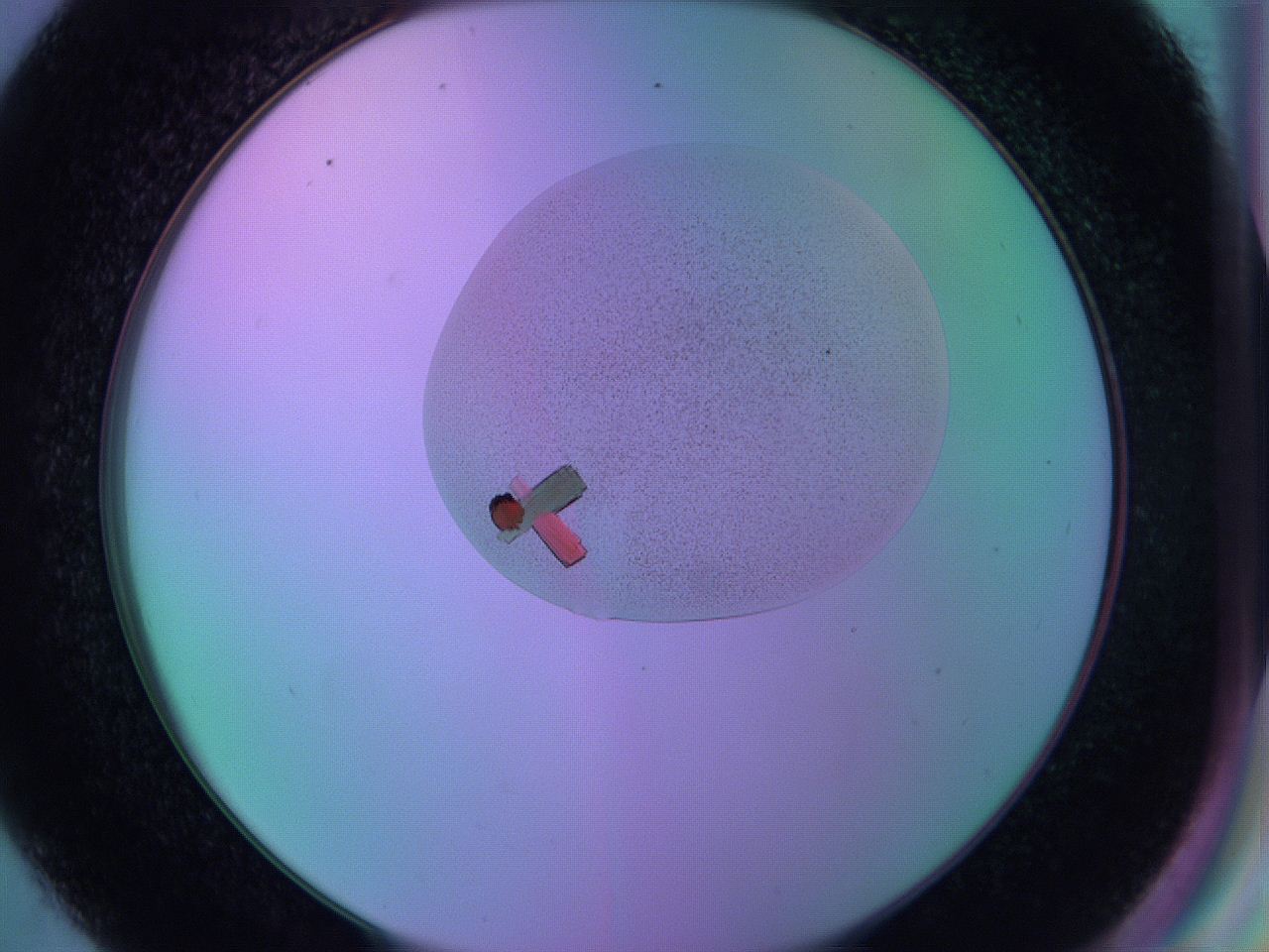 05am_D9_ImagerDefaults_9.jpg