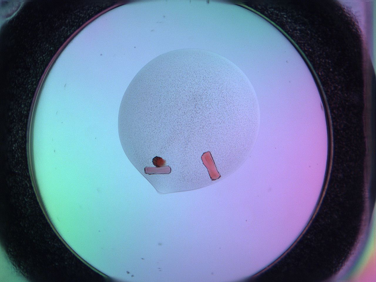 05am_D10_ImagerDefaults_9.jpg