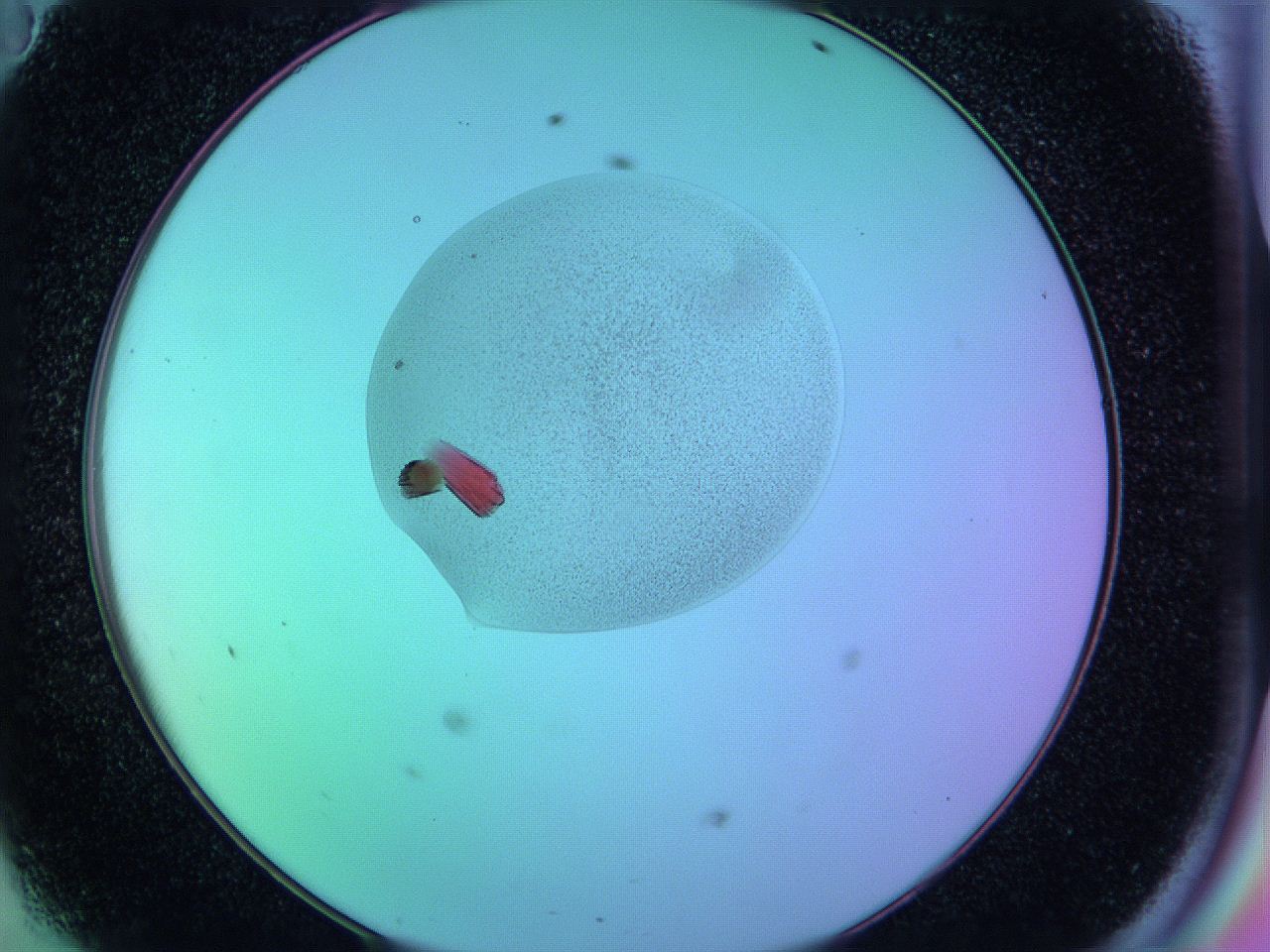 05am_D11_ImagerDefaults_9.jpg