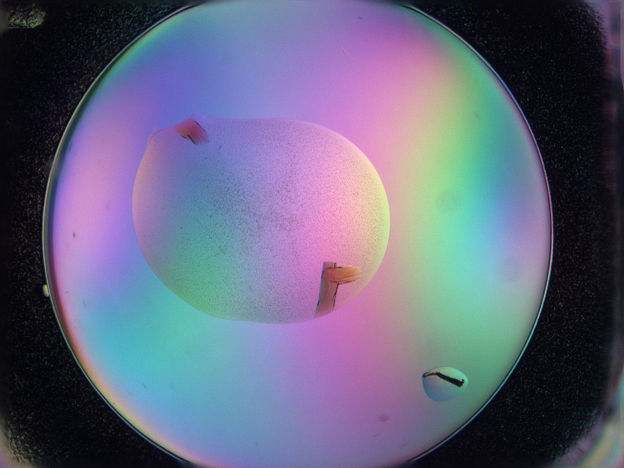 05am_G12_ImagerDefaults_9.jpg