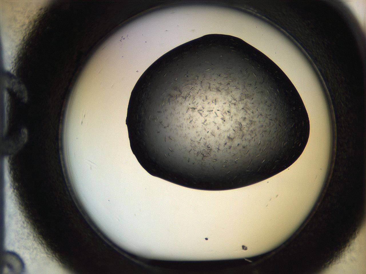05br_C8_ImagerDefaults_7.jpg