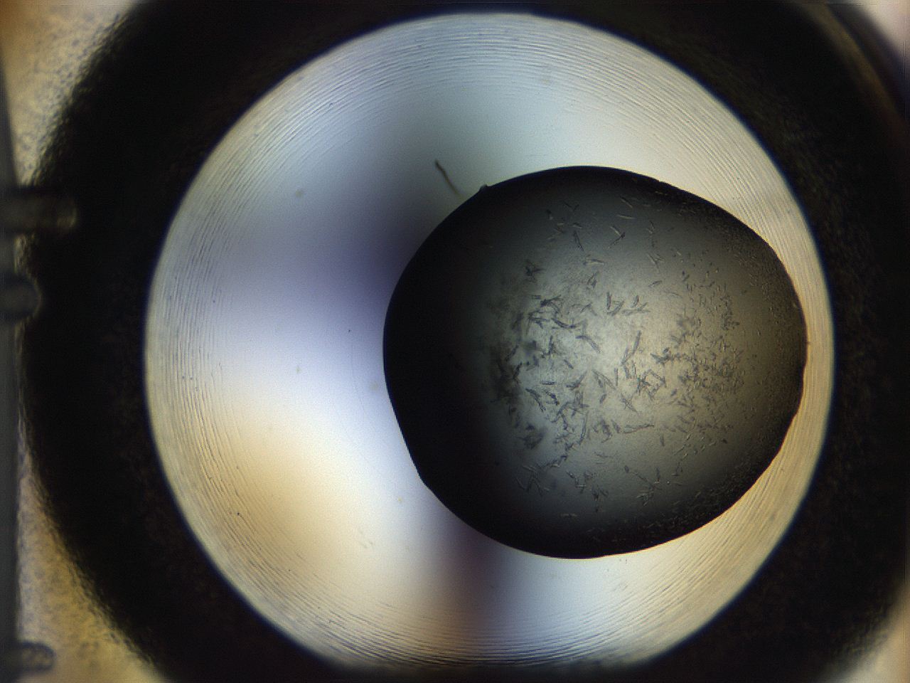 05br_F5_ImagerDefaults_7.jpg