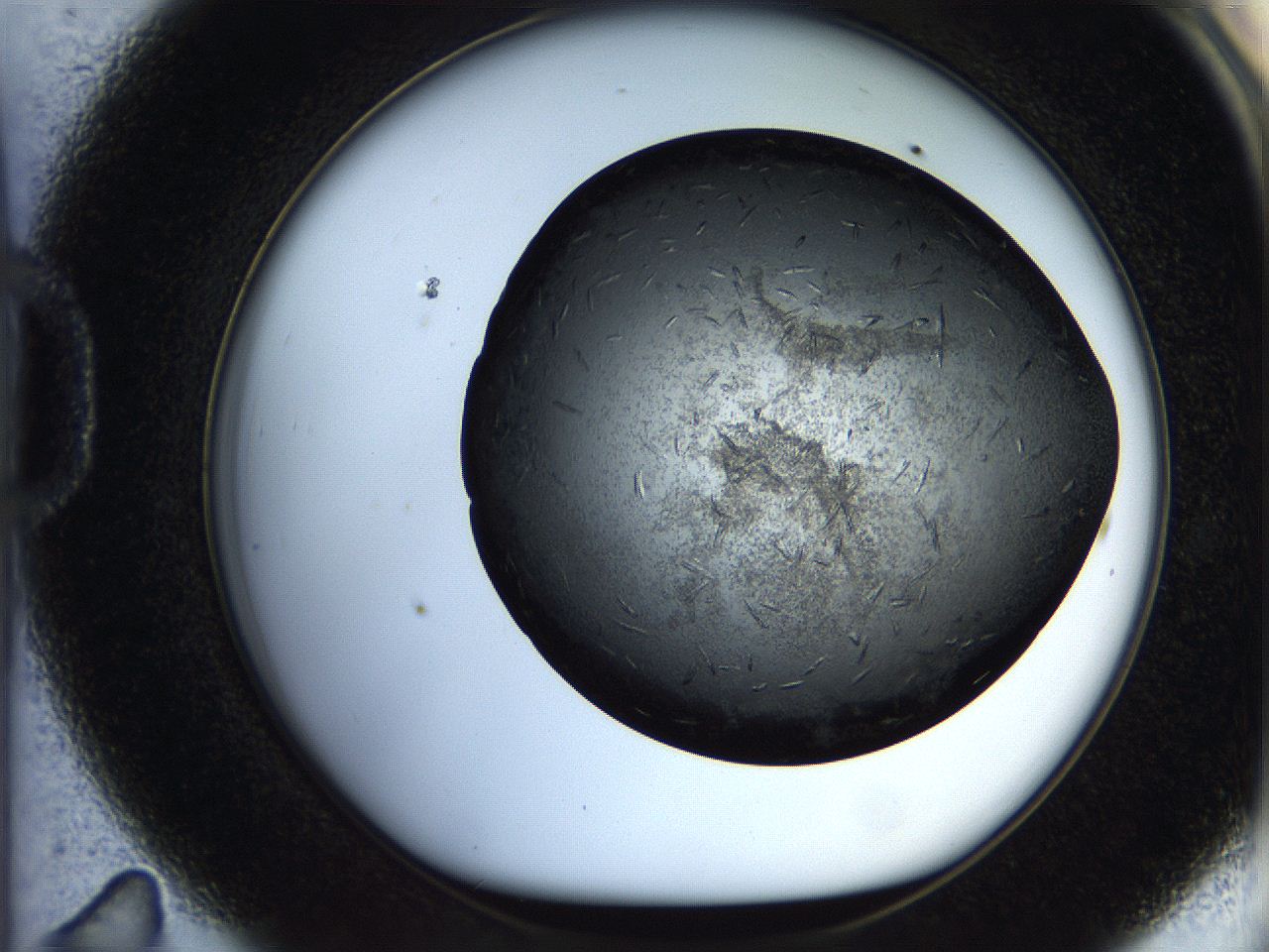 05br_D11_ImagerDefaults_7.jpg