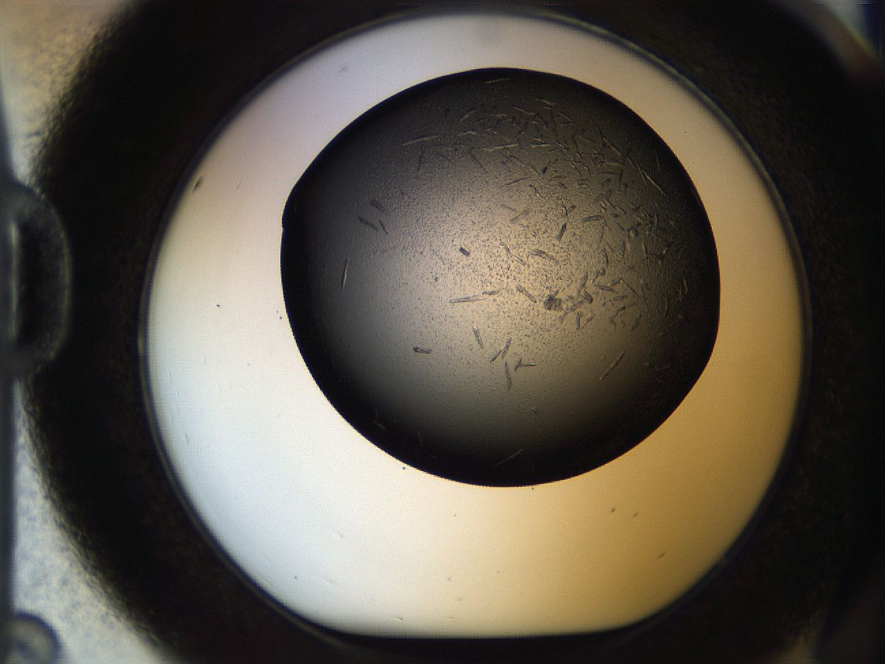 05br_D8_ImagerDefaults_7.jpg