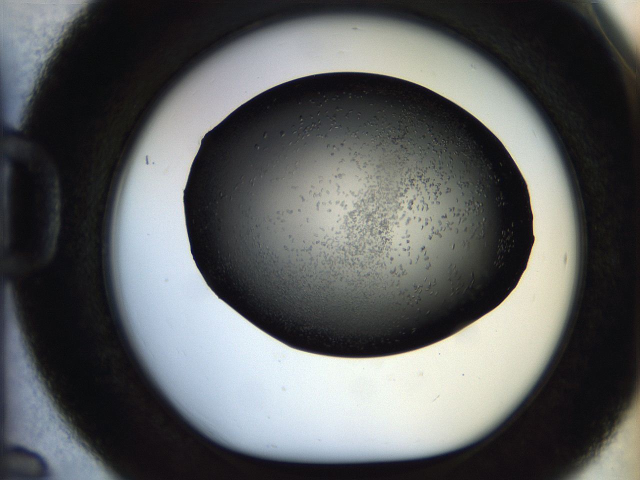 05br_D6_ImagerDefaults_7.jpg