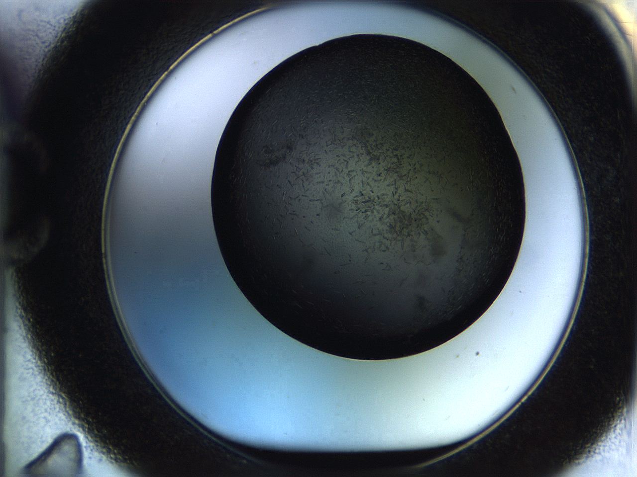 05br_C11_ImagerDefaults_6.jpg