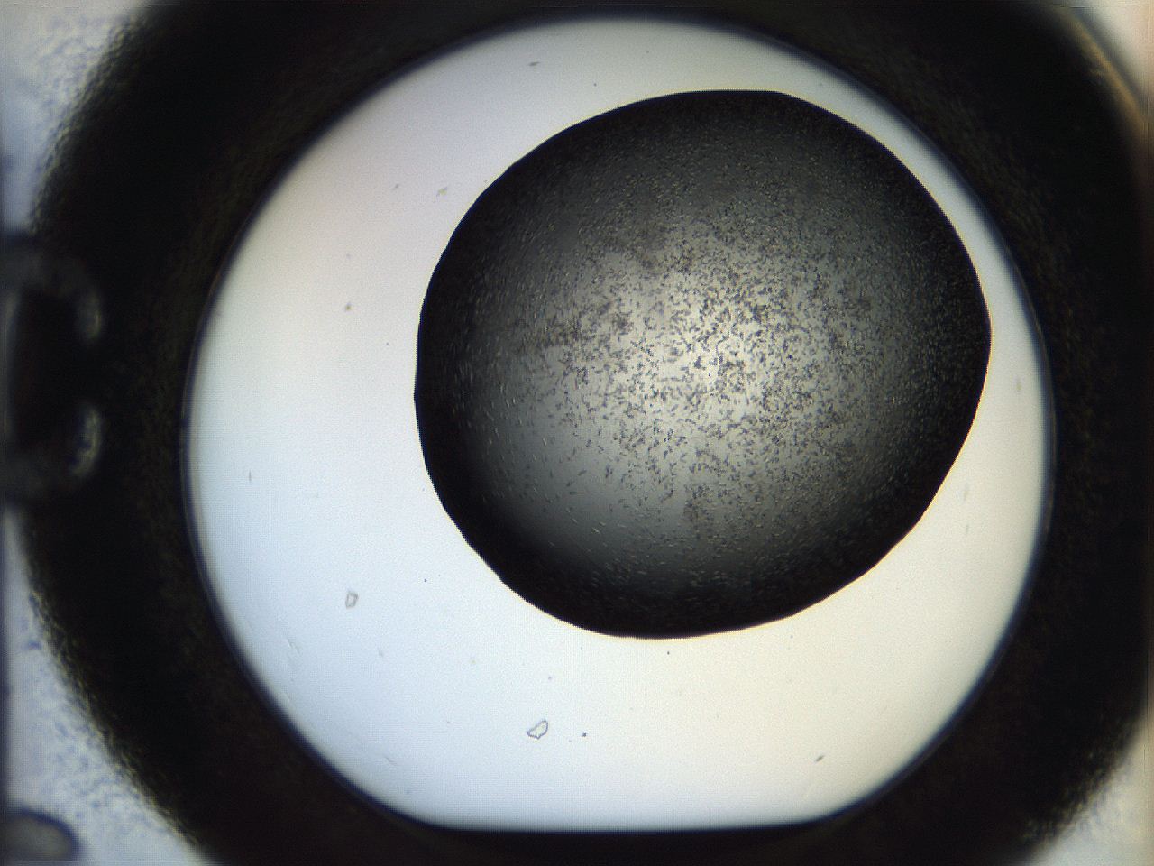 05br_C6_ImagerDefaults_6.jpg