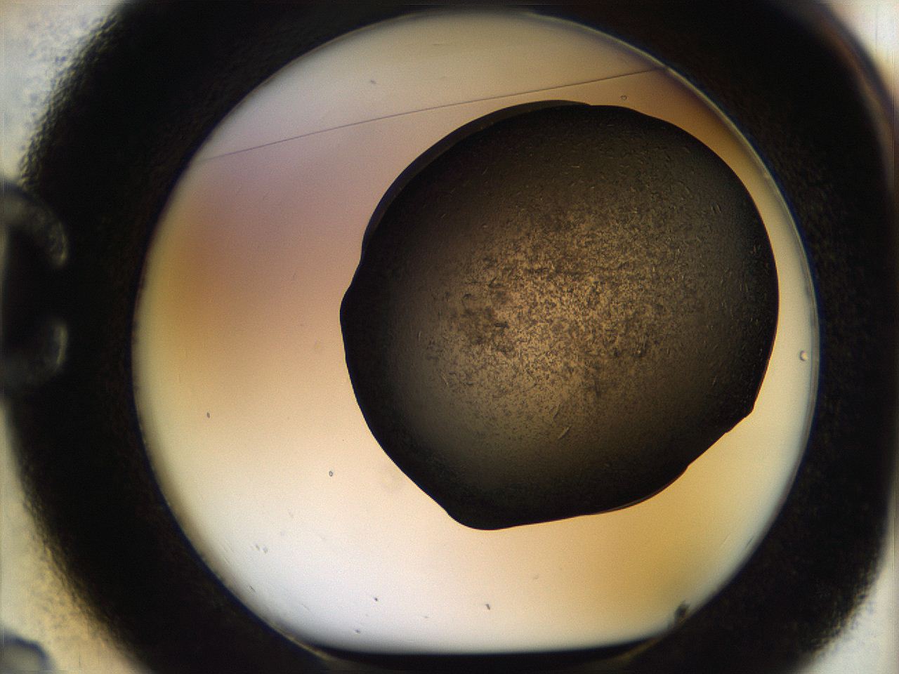 05br_C2_ImagerDefaults_7.jpg