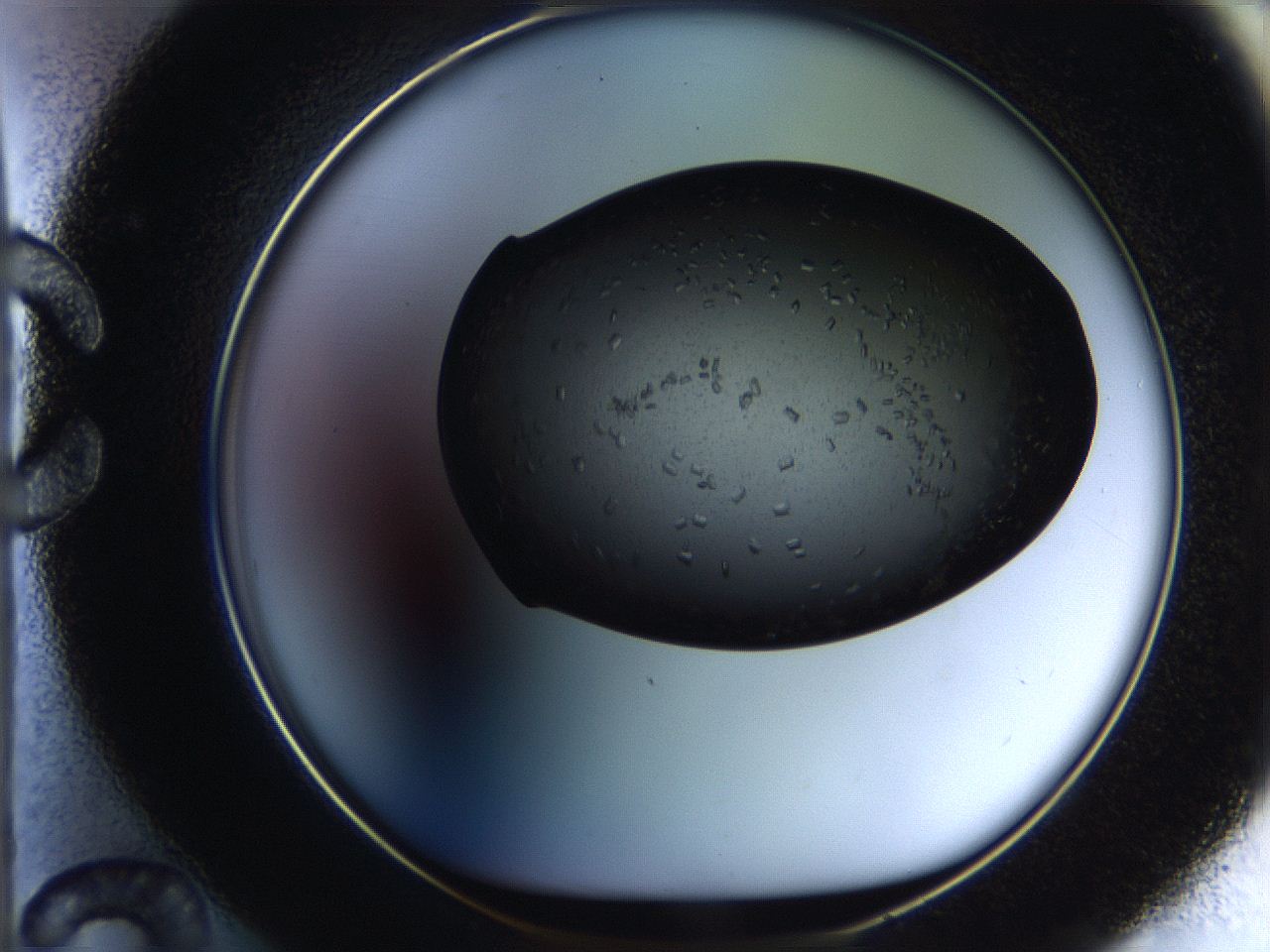 05br_C12_ImagerDefaults_9.jpg