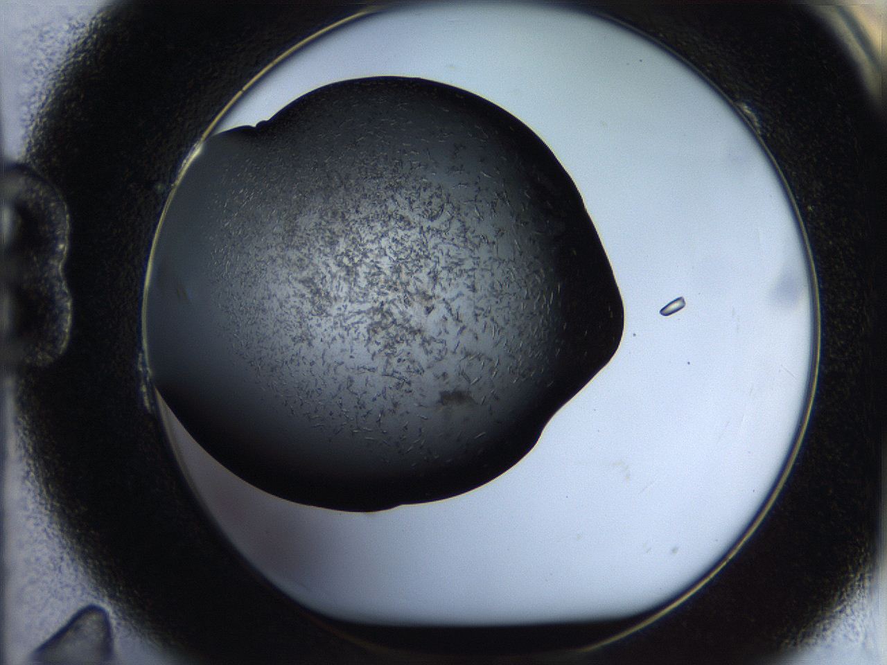 05br_B11_ImagerDefaults_6.jpg