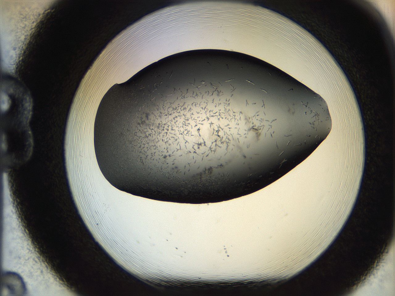 05br_B8_ImagerDefaults_7.jpg