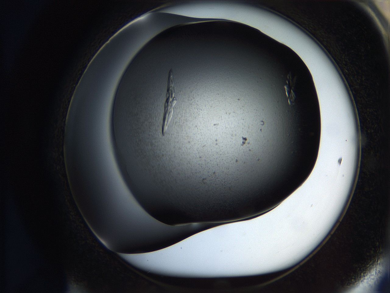 05bs_D11_ImagerDefaults_9.jpg
