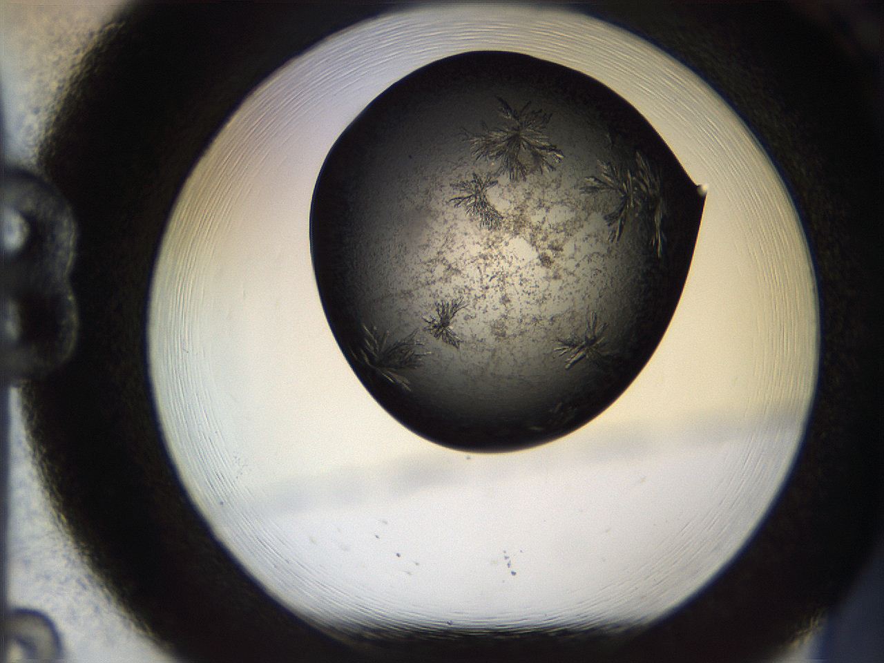 05bs_B8_ImagerDefaults_7.jpg