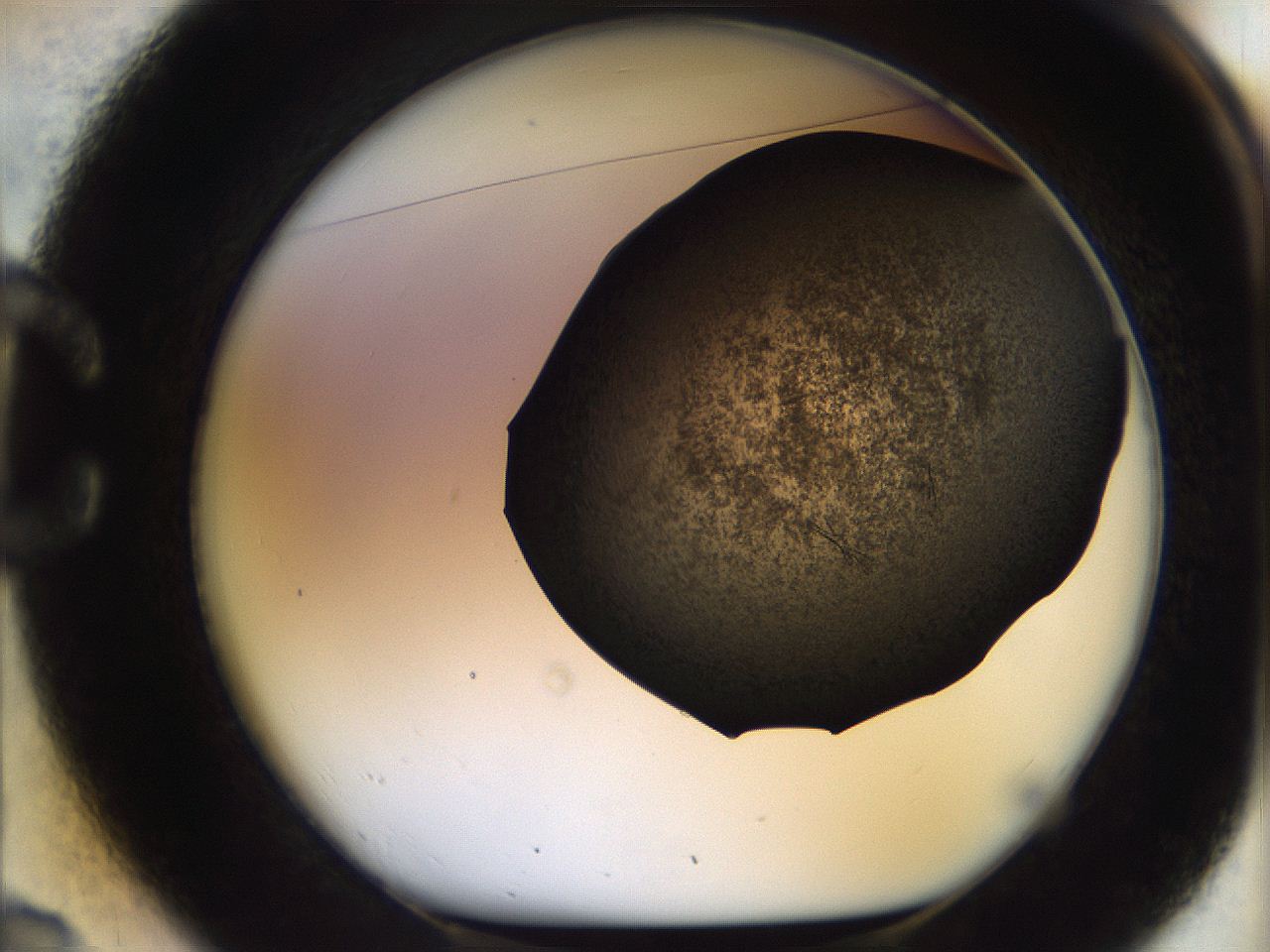 05bs_C2_ImagerDefaults_9.jpg