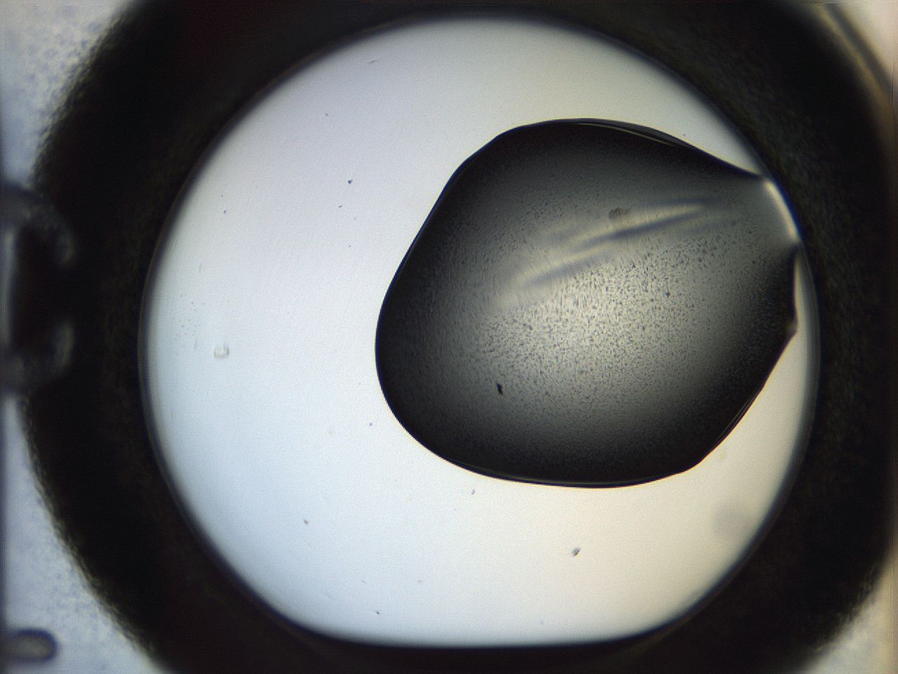 05bt_C5_ImagerDefaults_6.jpg