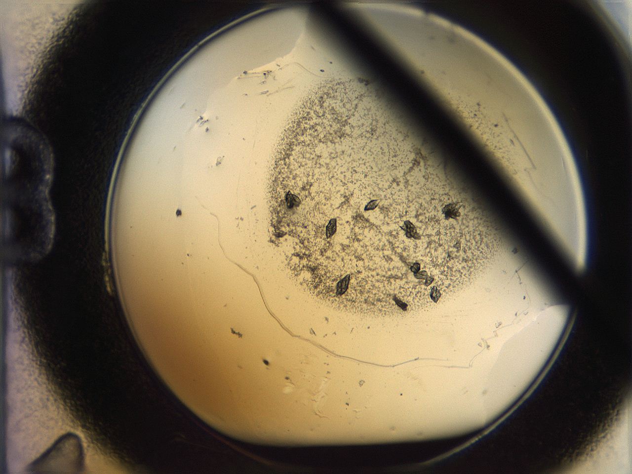 05bt_B11_ImagerDefaults_9.jpg