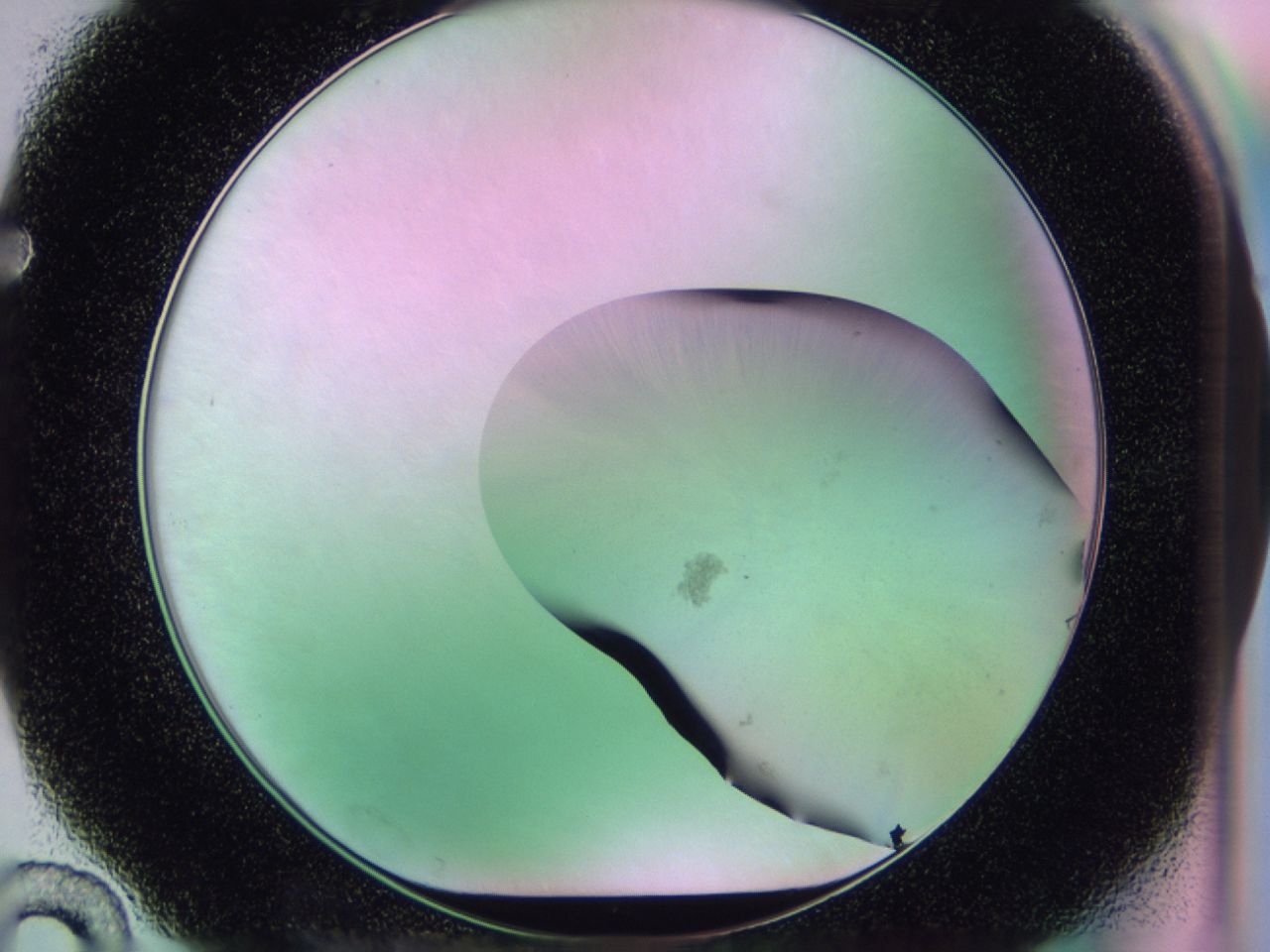 01ge_F10_ImagerDefaults_0.jpg