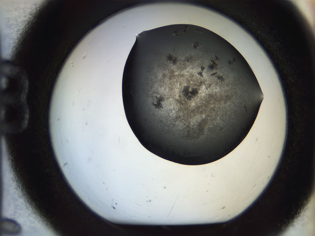 05bt_B6_ImagerDefaults_7.jpg