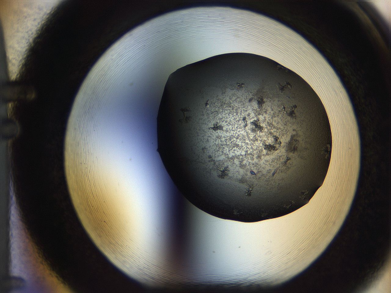 05bt_F5_ImagerDefaults_9.jpg