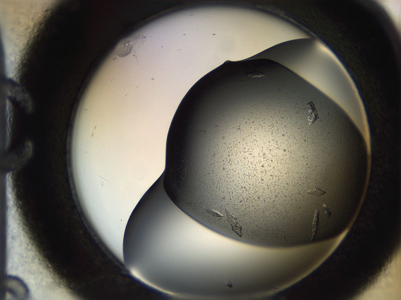 05bt_C8_ImagerDefaults_9.jpg