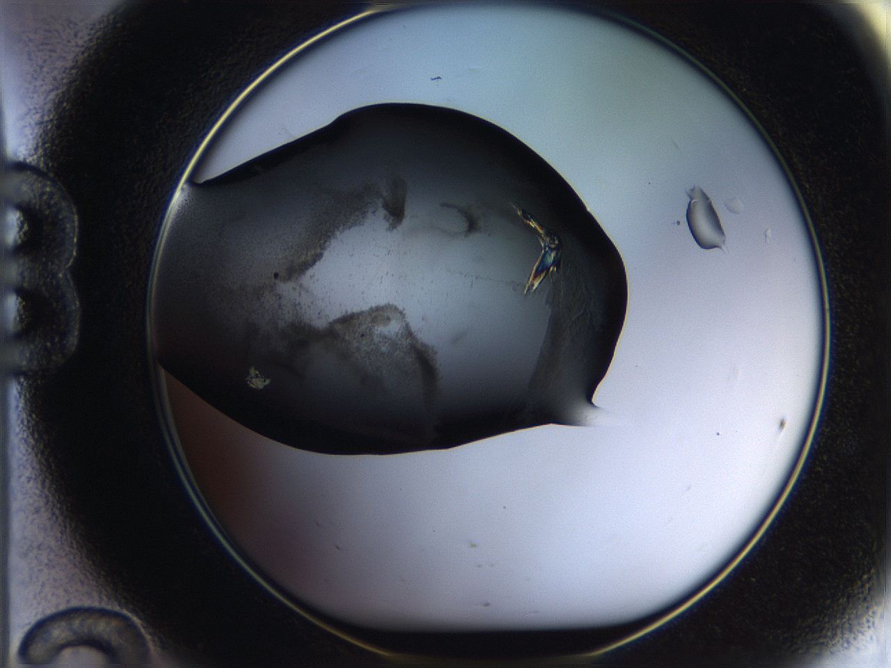 05bu_B12_ImagerDefaults_8.jpg
