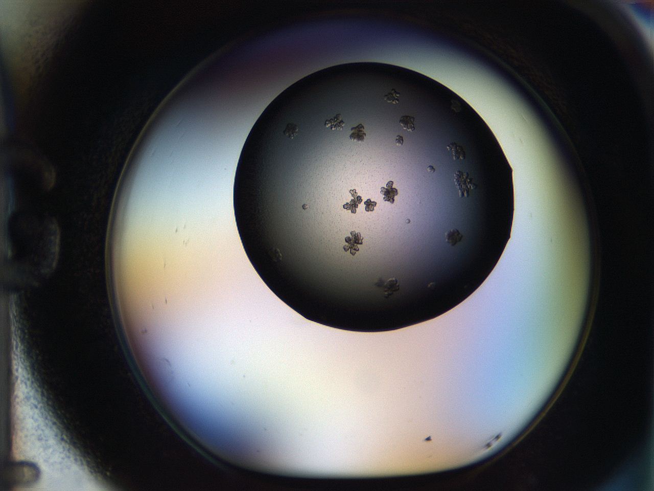 05bu_G5_ImagerDefaults_7.jpg