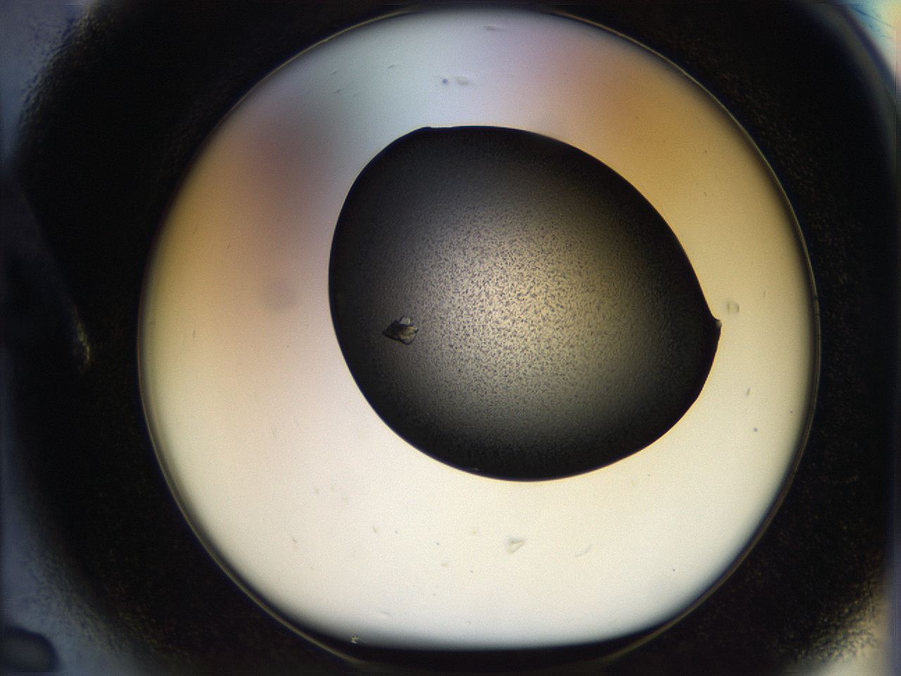 05bu_A6_ImagerDefaults_9.jpg