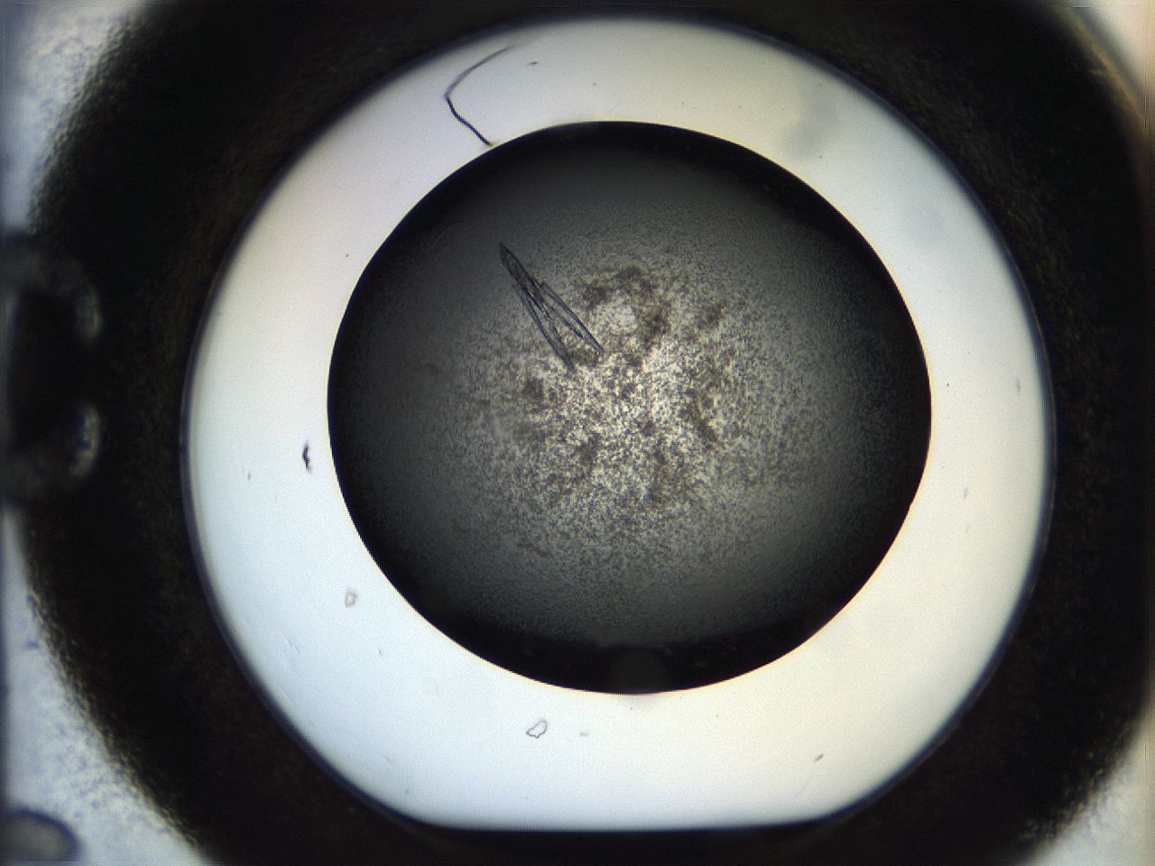 05bu_C6_ImagerDefaults_9.jpg