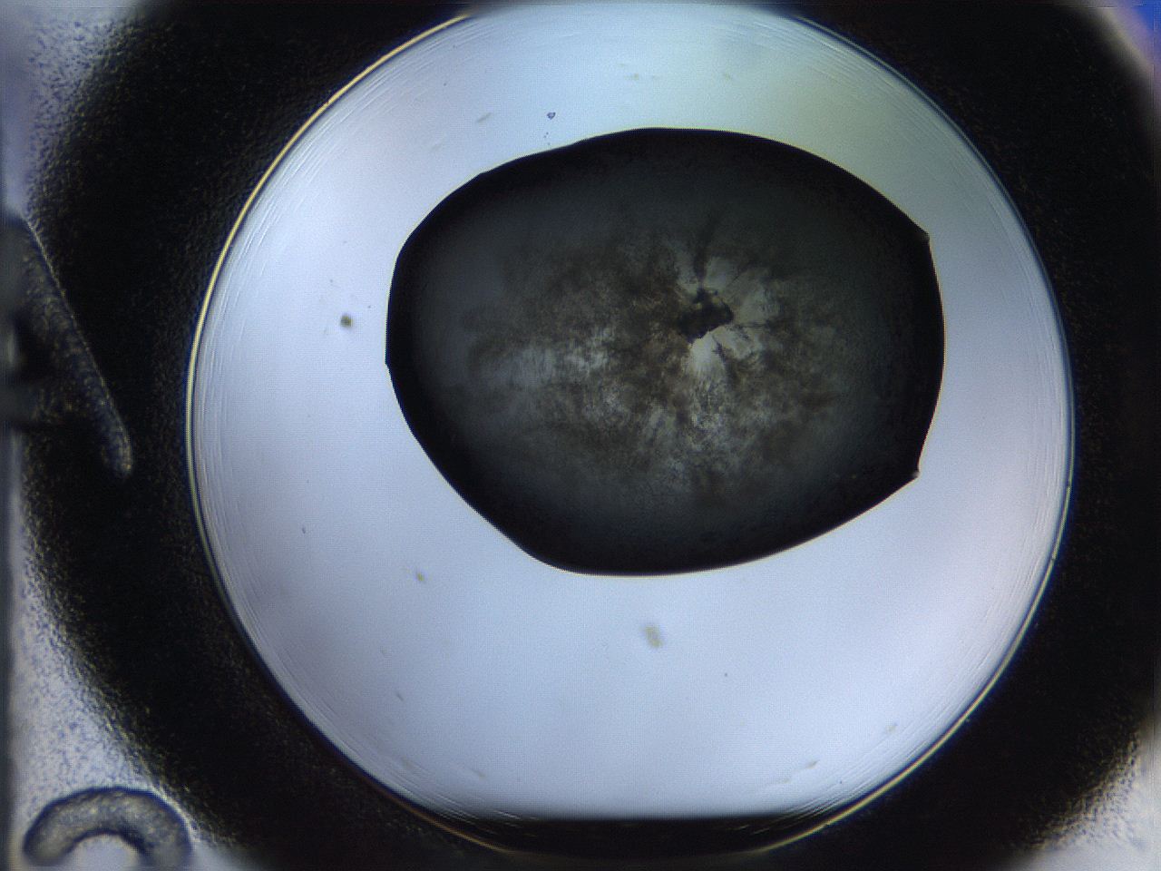 05bu_A12_ImagerDefaults_7.jpg
