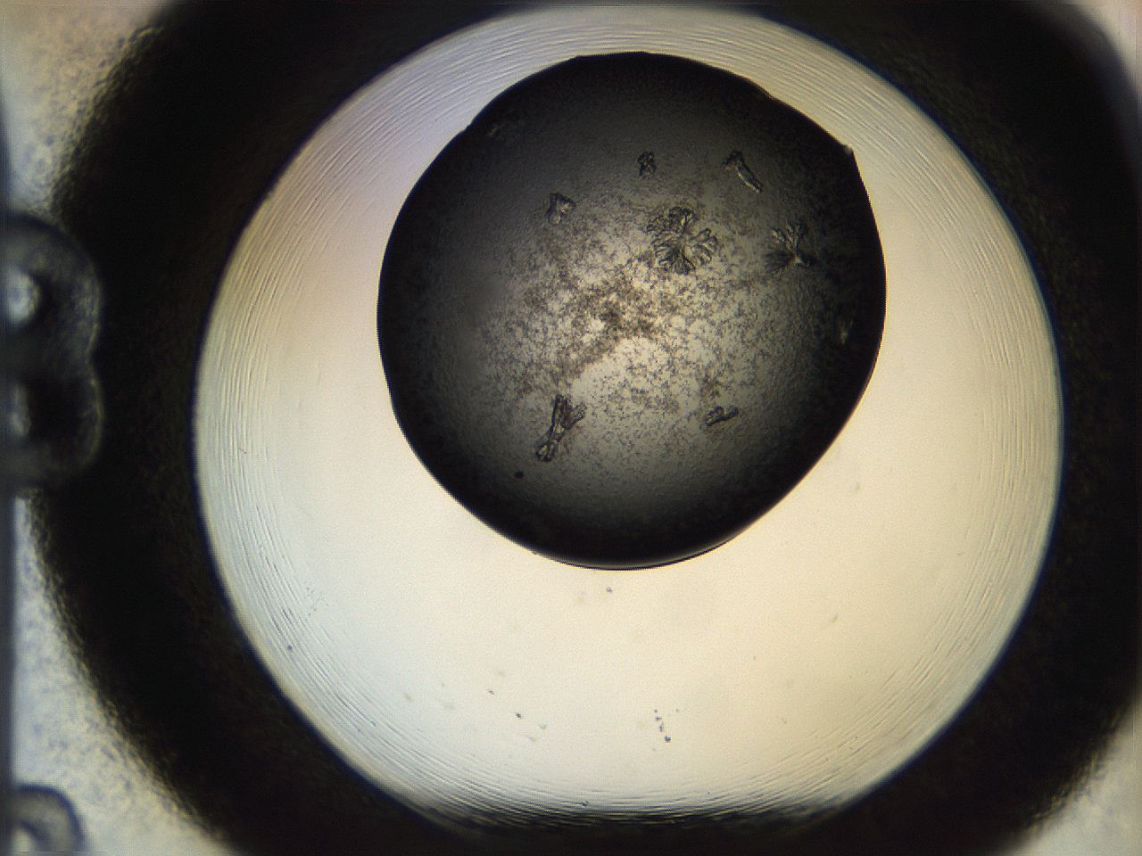 05bv_B8_ImagerDefaults_7.jpg