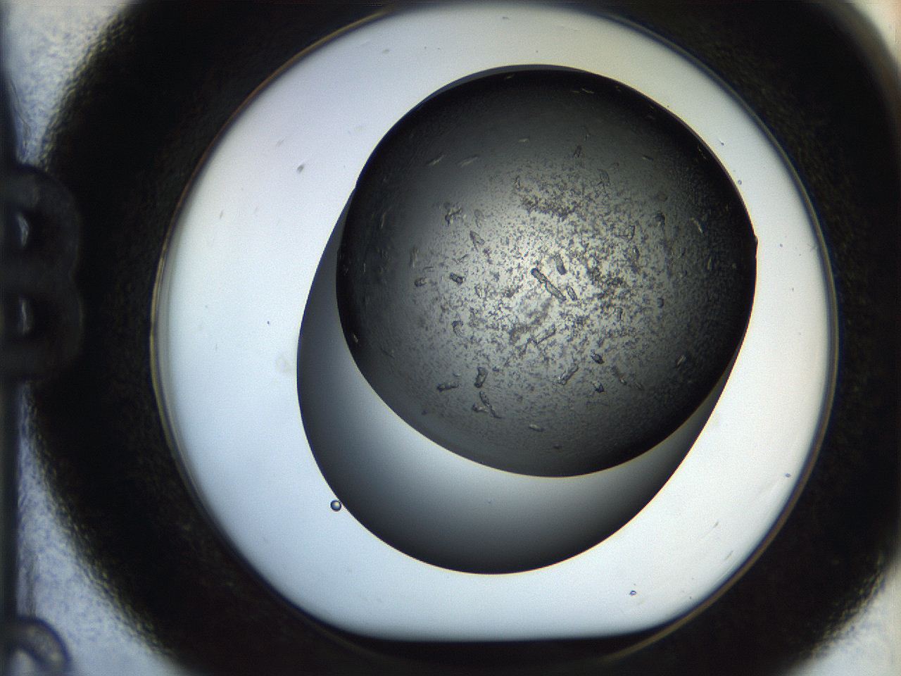 05bv_B9_ImagerDefaults_7.jpg