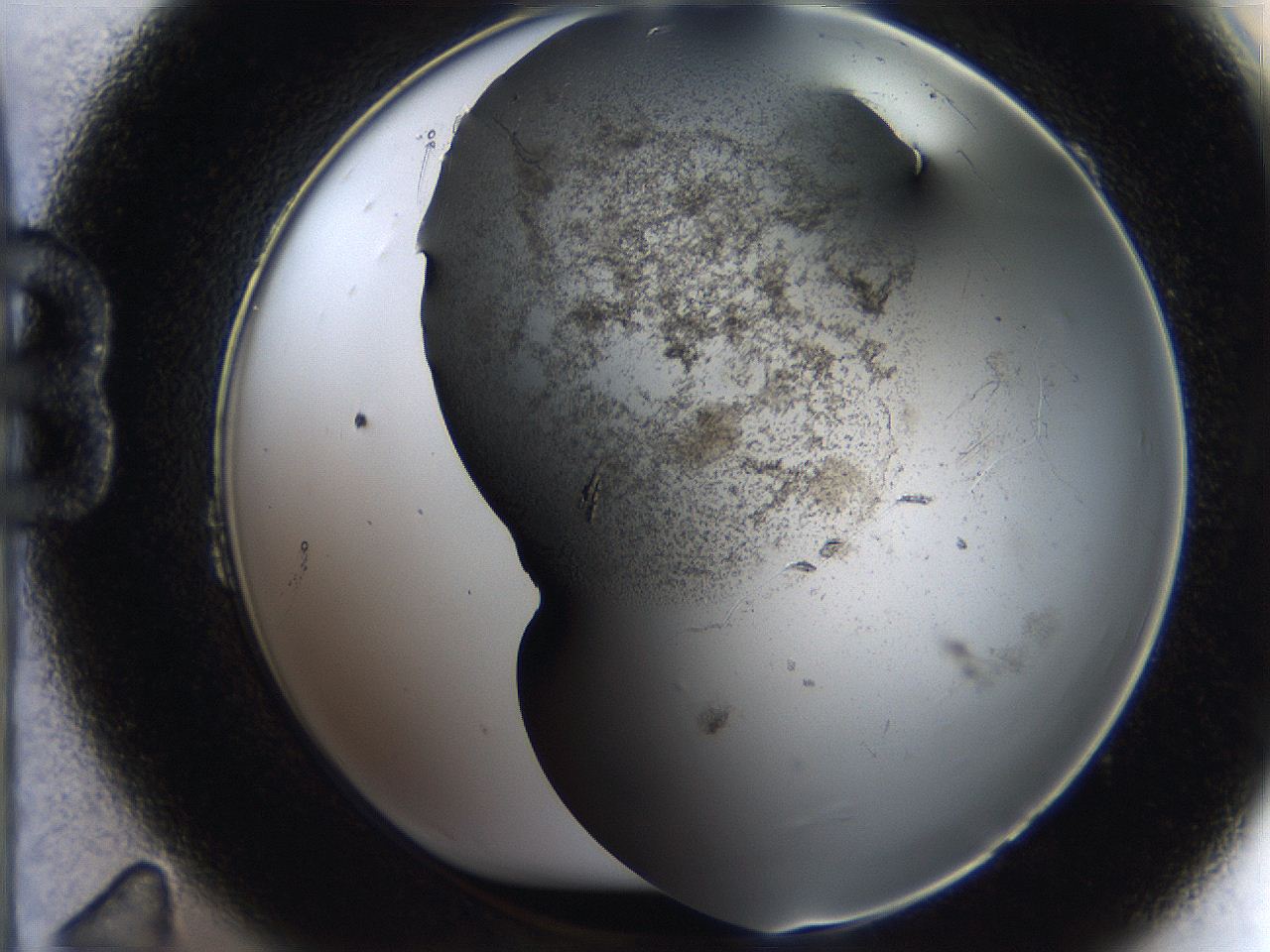 05bv_B11_ImagerDefaults_9.jpg
