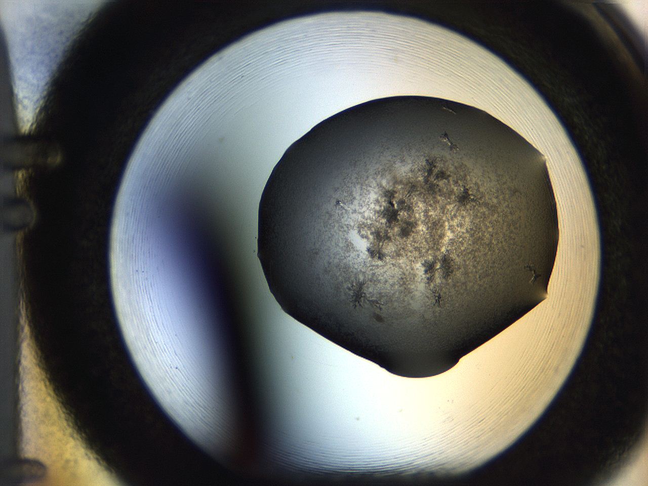05bv_F5_ImagerDefaults_6.jpg